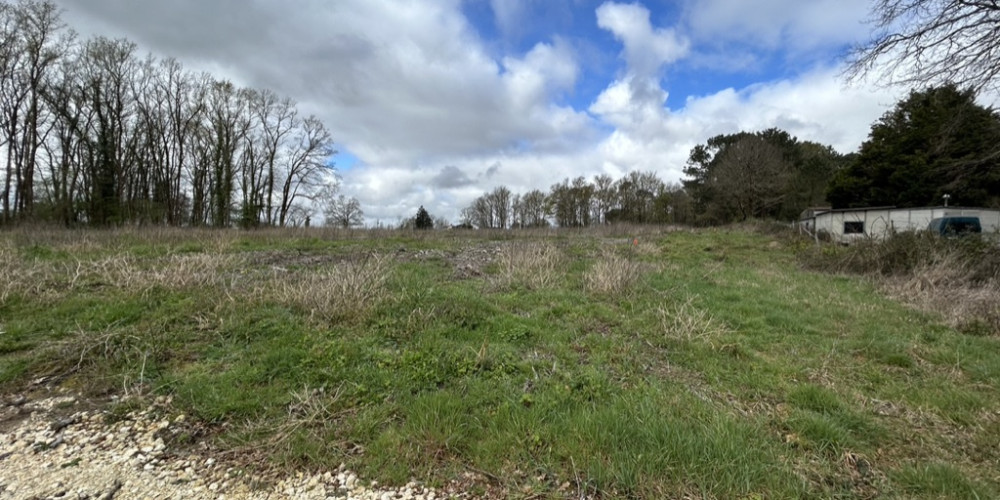 terrain à ST MARTIN DU BOIS (33910)