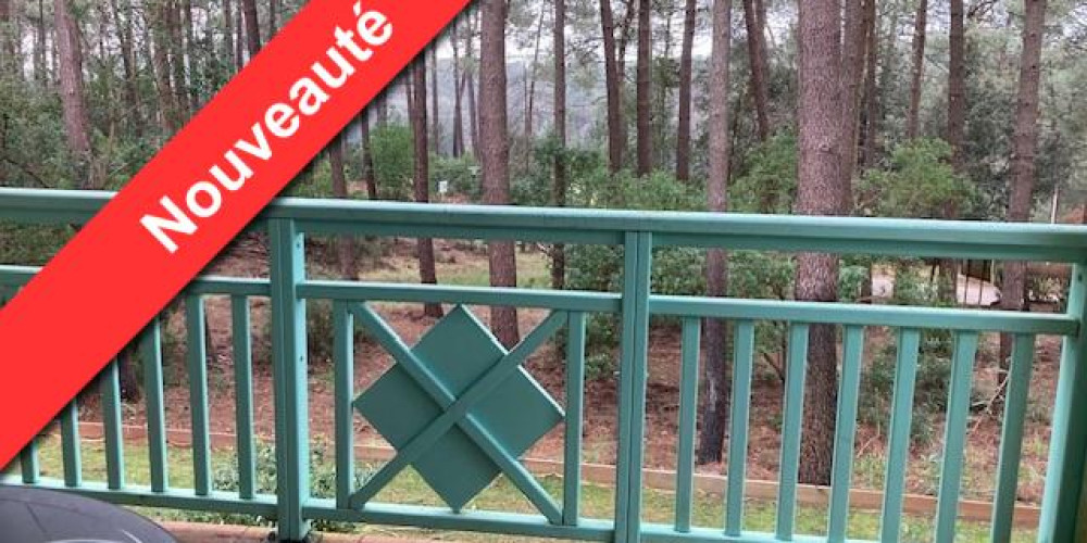 appartement à LACANAU (33680)