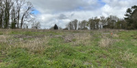 terrain à ST MARTIN DU BOIS (33910)