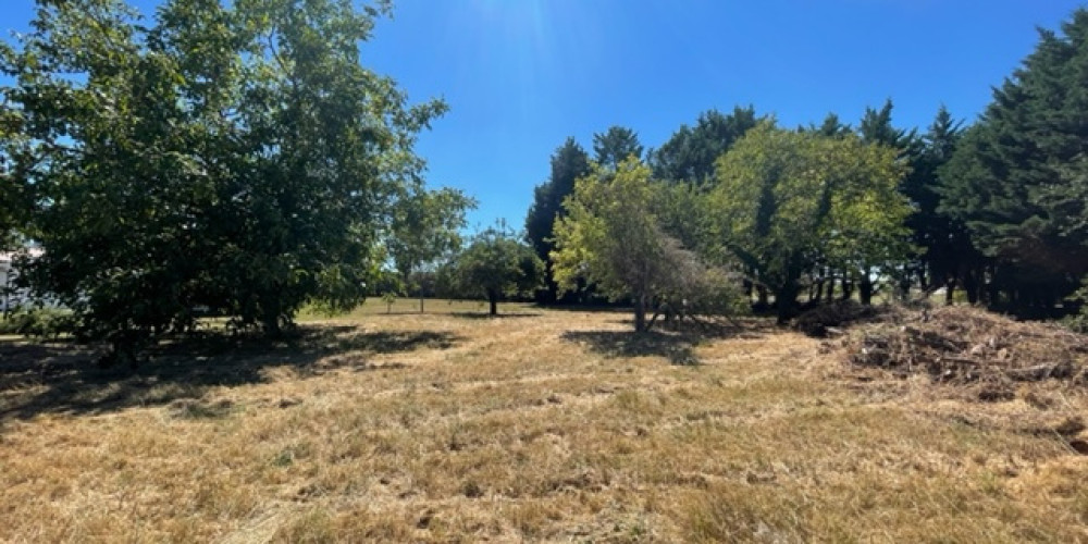 terrain à BASSANNE (33190)