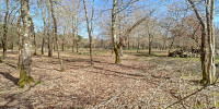 terrain à GUJAN MESTRAS (33470)