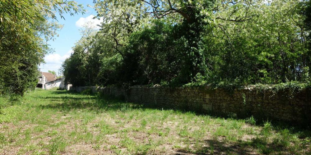 terrain à ST CHRISTOLY DE BLAYE (33920)