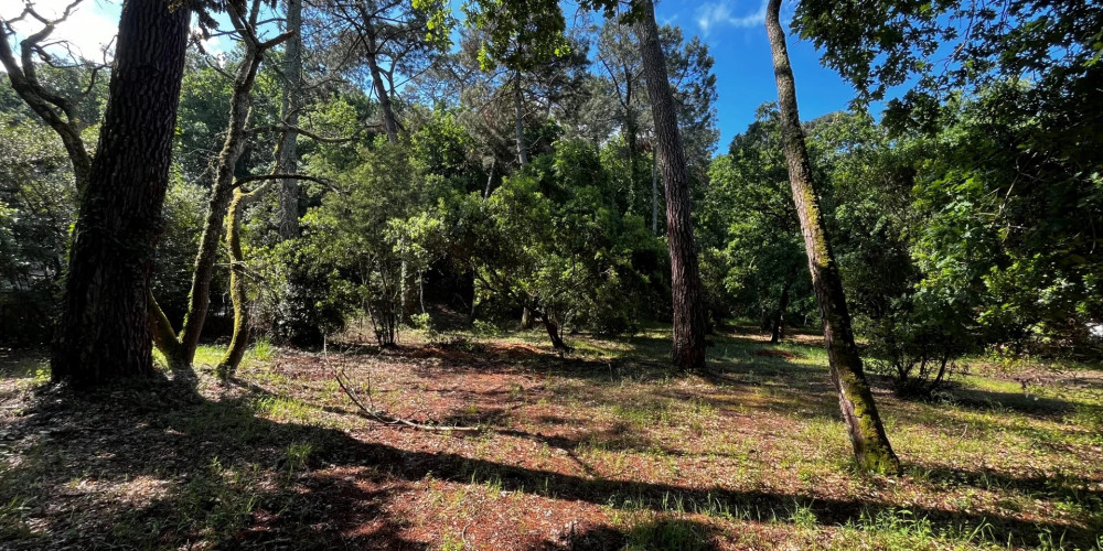 terrain à ARCACHON (33120)