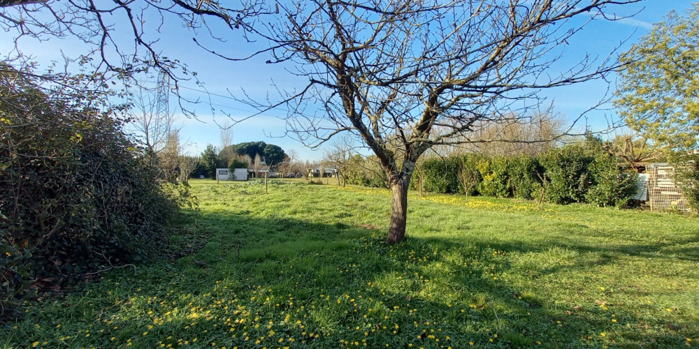 terrain à AMBARES ET LAGRAVE (33440)
