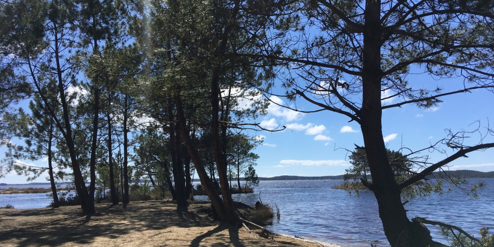 maison à LACANAU (33680)