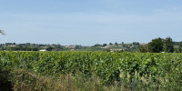 maison à ST EMILION (33330)