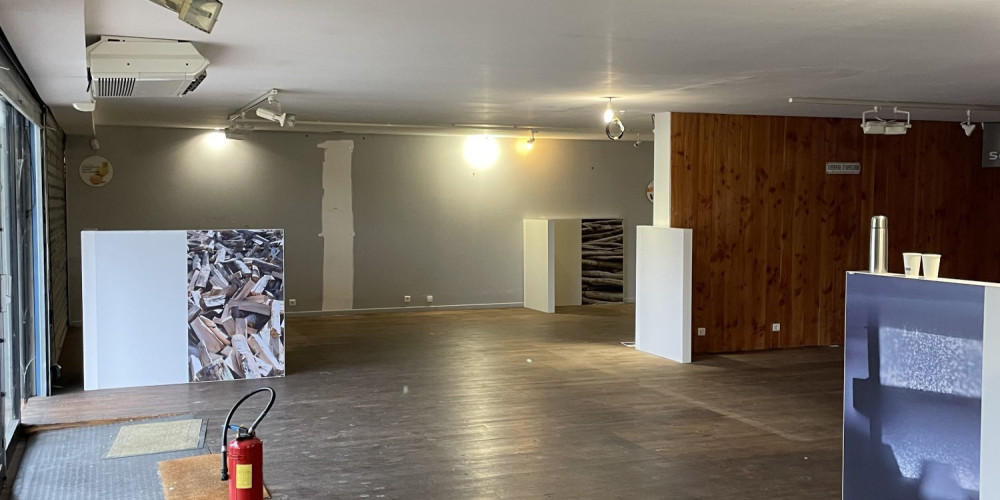 local commercial à LE HAILLAN (33185)