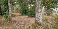 terrain à ARSAC (33460)