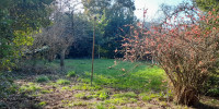 terrain à TALENCE (33400)