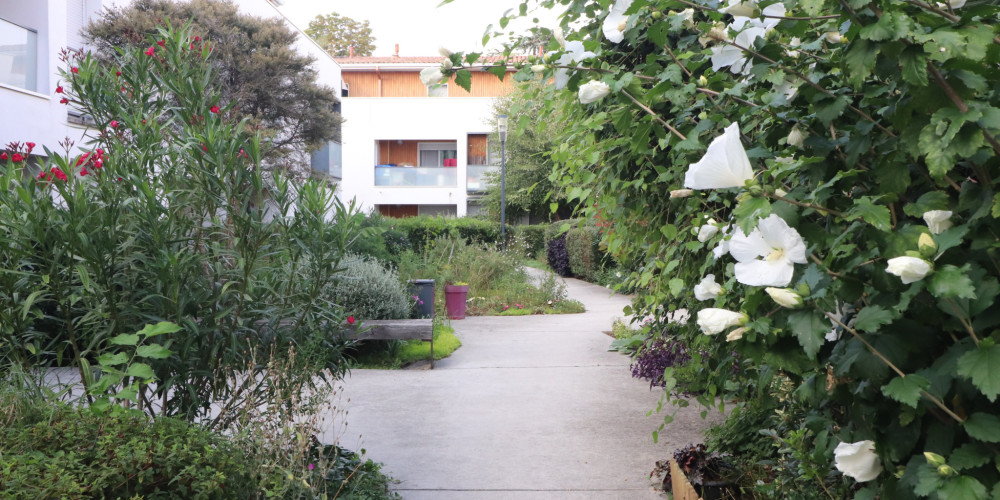 appartement à VILLENAVE D ORNON (33140)