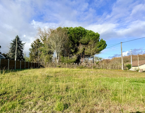 terrain  ST MARTIN DE LAYE