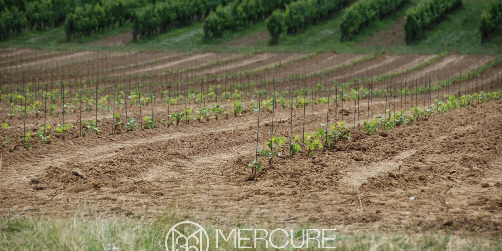 maison à SAUVETERRE DE GUYENNE (33540)