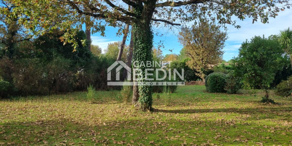 terrain à BIGANOS (33380)