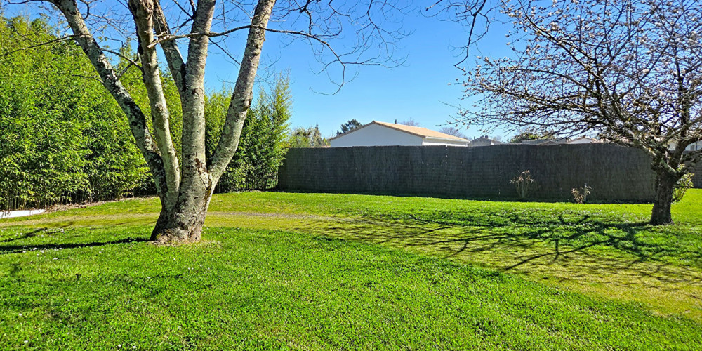 terrain à ST DENIS DE PILE (33910)