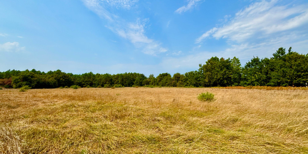 terrain à LEGE CAP FERRET (33950)