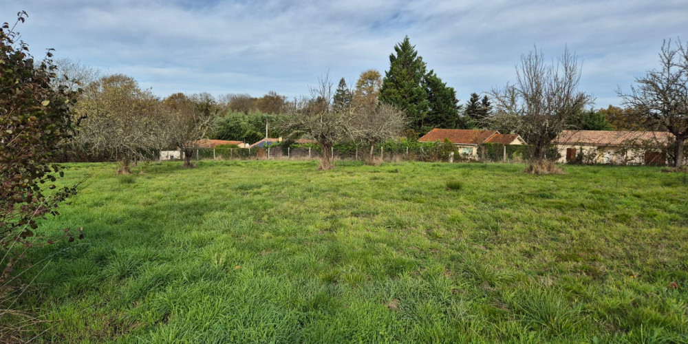 terrain à BAIGNEAUX (33760)