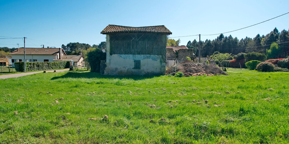 maison à ST MORILLON (33650)