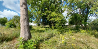 terrain à BAZAS (33430)