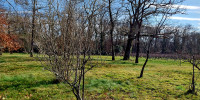 terrain à LANGON (33210)