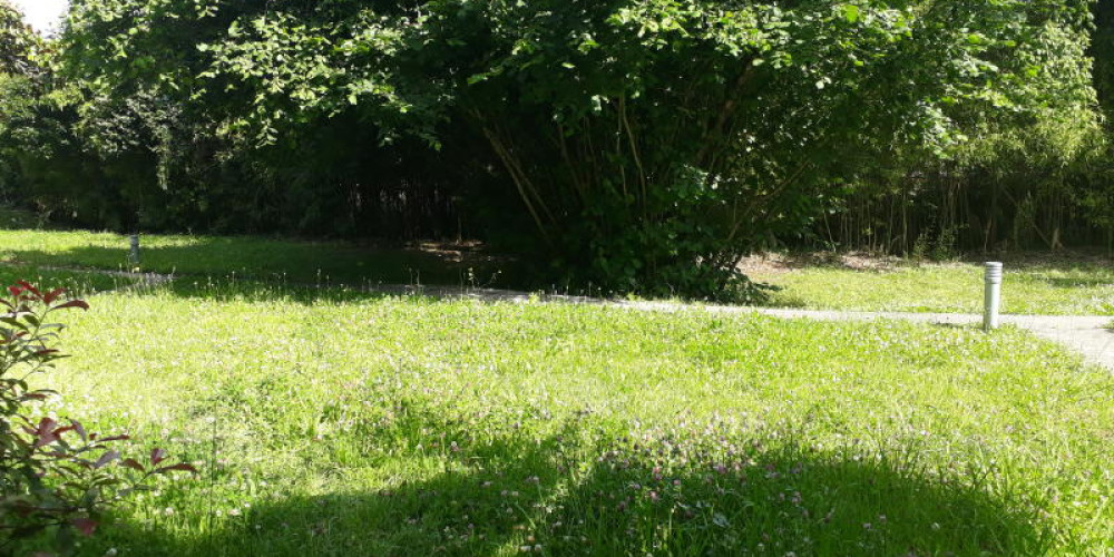 appartement à PESSAC (33600)