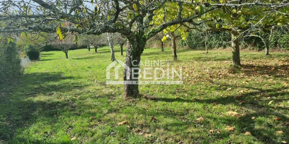 terrain à CREON (33670)