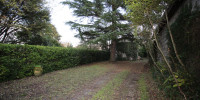 maison à BORDEAUX (33200)
