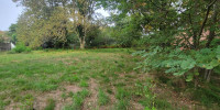 terrain à MIOS (33380)