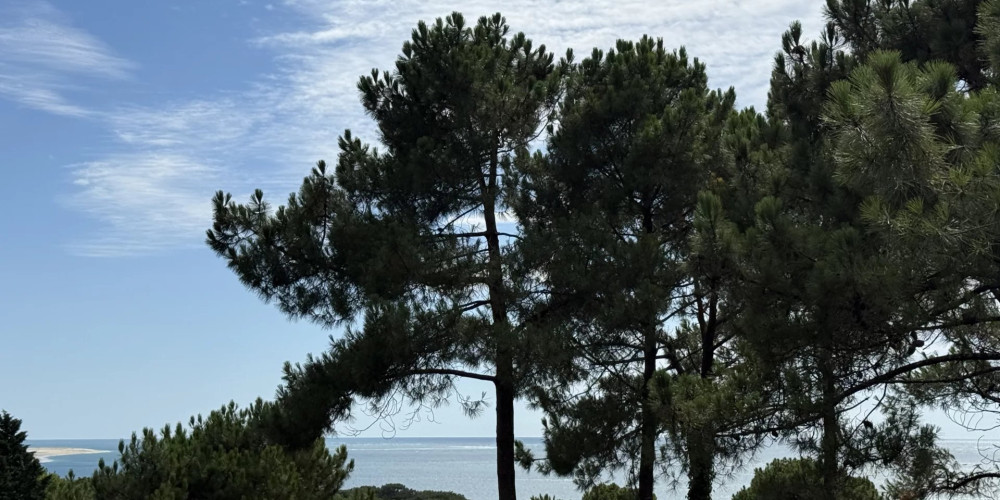 maison à LA TESTE DE BUCH (33115)