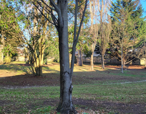 appartement  BORDEAUX