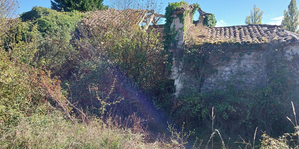 maison à AURIOLLES (33790)