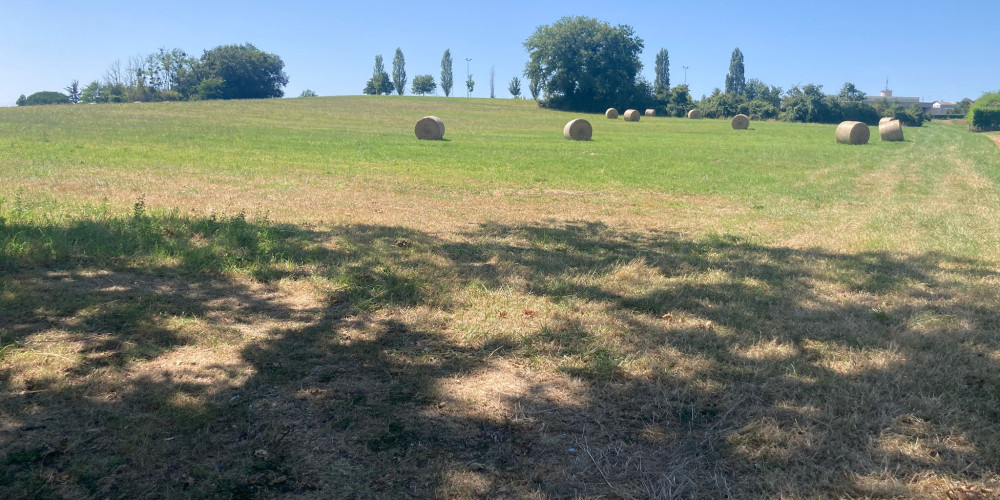 terrain à SAUVETERRE DE GUYENNE (33540)