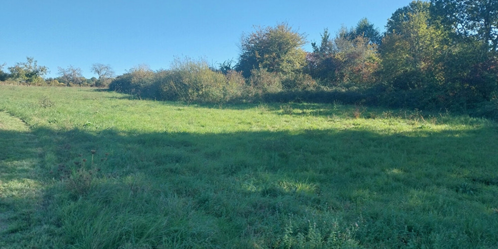 terrain à BELLEBAT (33760)