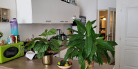 appartement à BORDEAUX (33000)