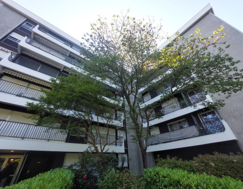 appartement  MERIGNAC