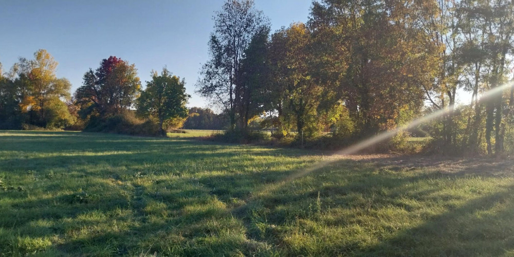 terrain à ST MEDARD DE GUIZIERES (33230)