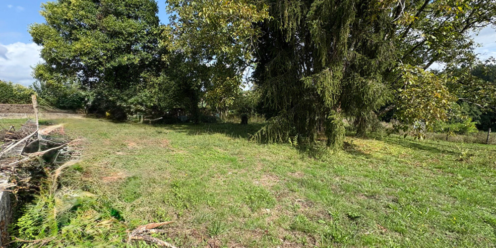 terrain à BAZAS (33430)