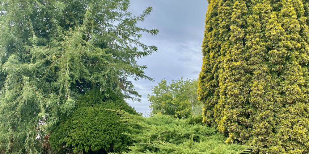 maison à POMEROL (33500)