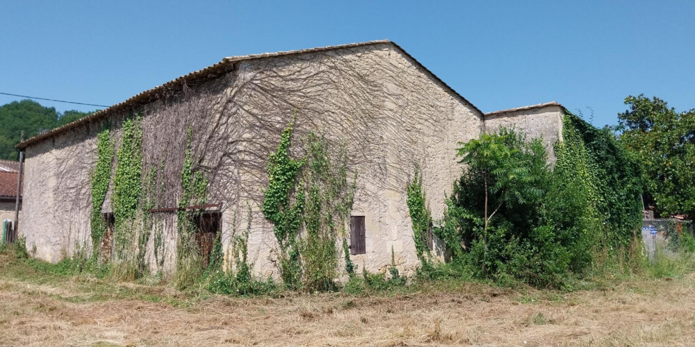 maison à ST PEY DE CASTETS (33350)