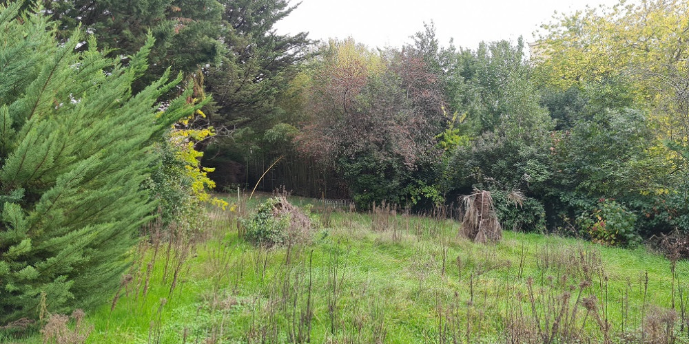 terrain à BORDEAUX (33200)