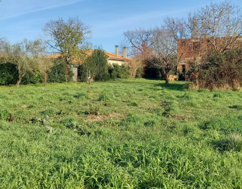 terrain  AMBARES ET LAGRAVE