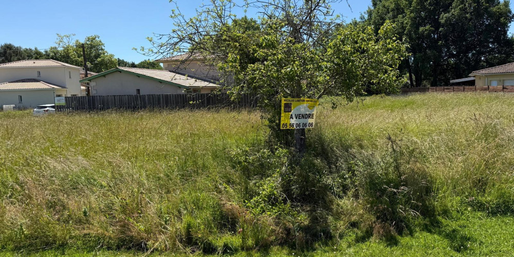 terrain à SALAUNES (33160)