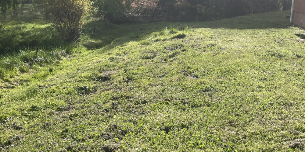 terrain à LA BREDE (33650)