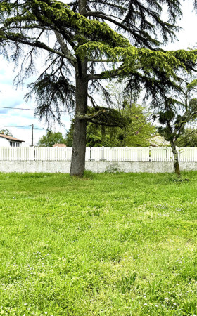 Terrain  LIBOURNE