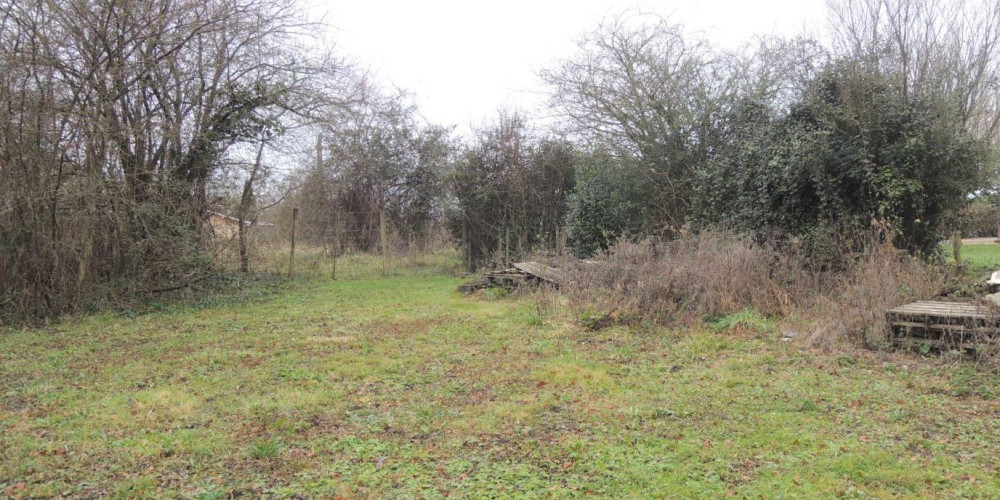 terrain à ST LOUBES (33450)
