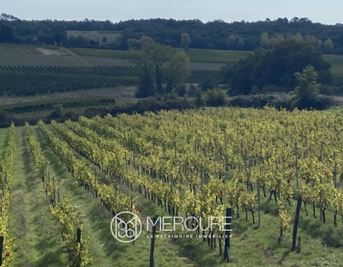 maison  SAUVETERRE DE GUYENNE