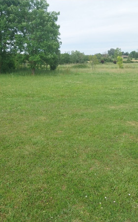 Terrain  ST BRICE