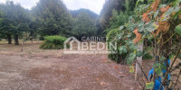 maison à BEYCHAC ET CAILLAU (33750)