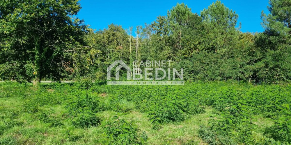 terrain à ST AUBIN DE MEDOC (33160)