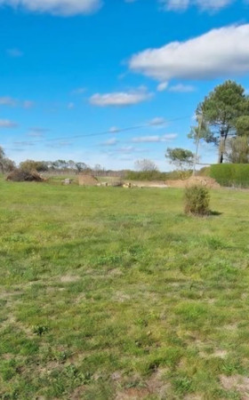 Terrain  ST MARTIN DE LAYE