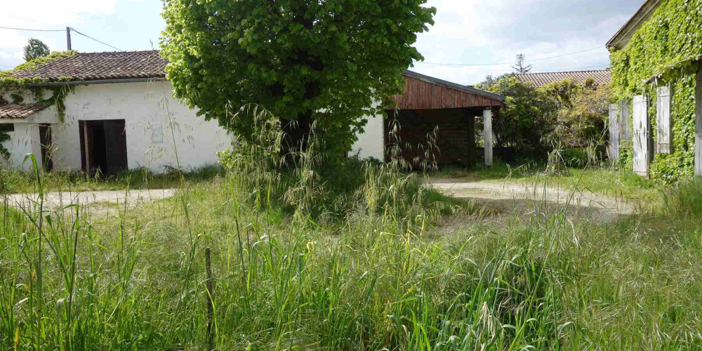 maison à CARTELEGUE (33390)